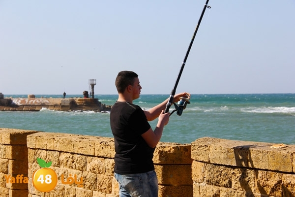 mina2 yaffaj343 (32).JPG